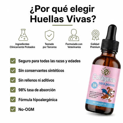 Devuélvele el Movimiento y la Alegría a tu Mascota
