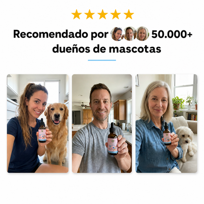 Devuélvele el Movimiento y la Alegría a tu Mascota